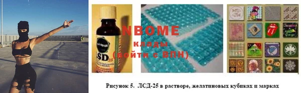 прущие грибы Абинск