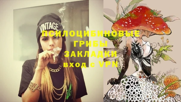 скорость Алексин