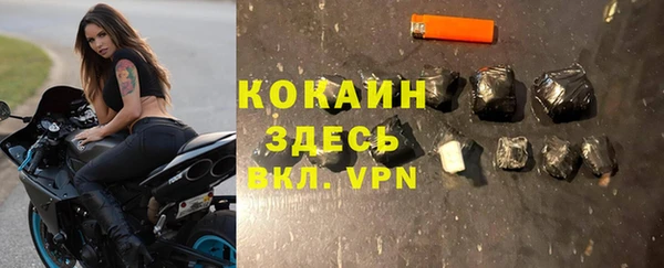 прущие грибы Абинск