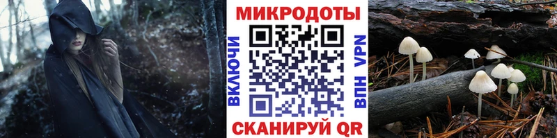 Галлюциногенные грибы MAGIC MUSHROOMS  сайты даркнета клад  Донецк 